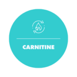 carnitine